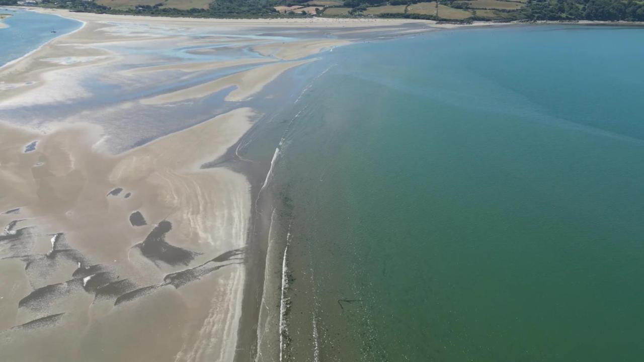 Llety Teifi Guest House Cardigan Eksteriør billede